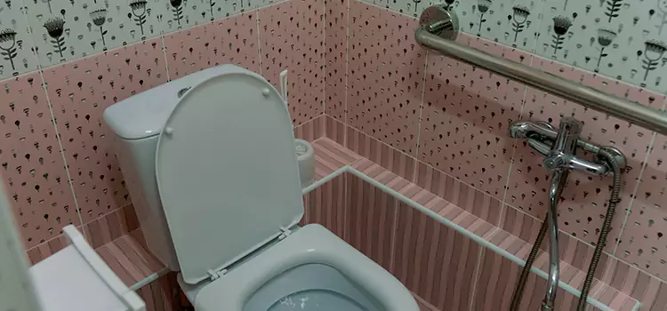 Meeting Diverse Needs With Accessible Restroom Solutions in The Acreage, FL