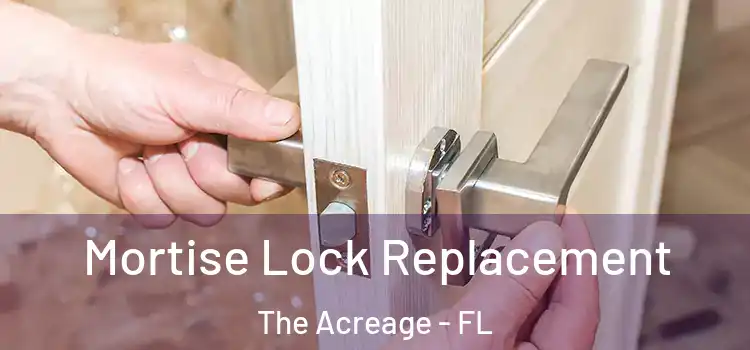 Mortise Lock Replacement The Acreage - FL